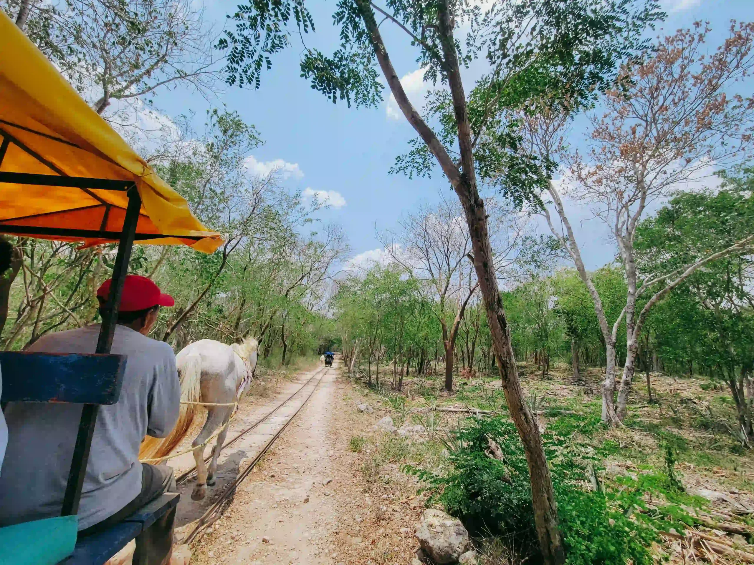 cenote wedding Mexico Yucatan