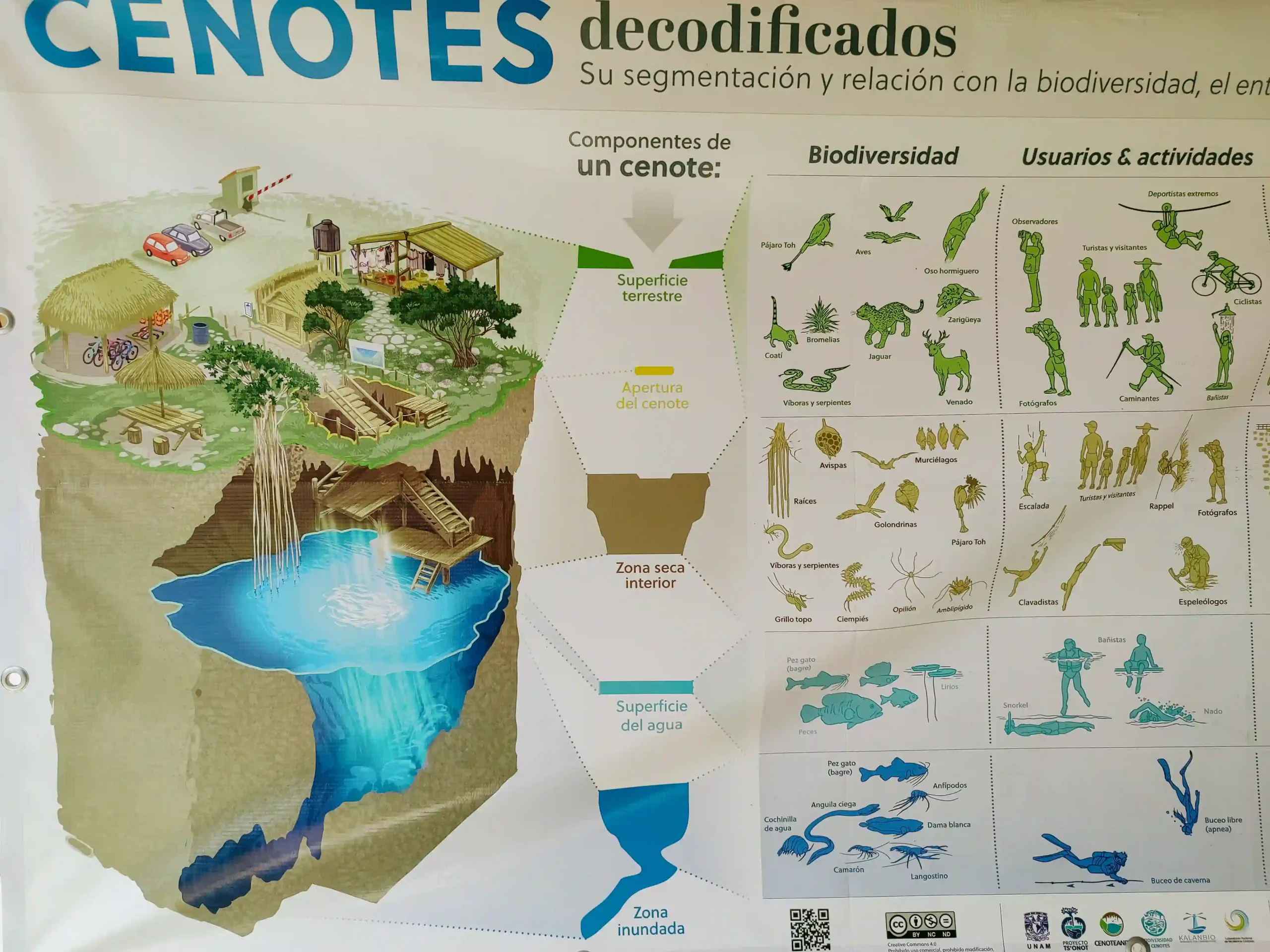 cenote wedding Mexico Yucatan