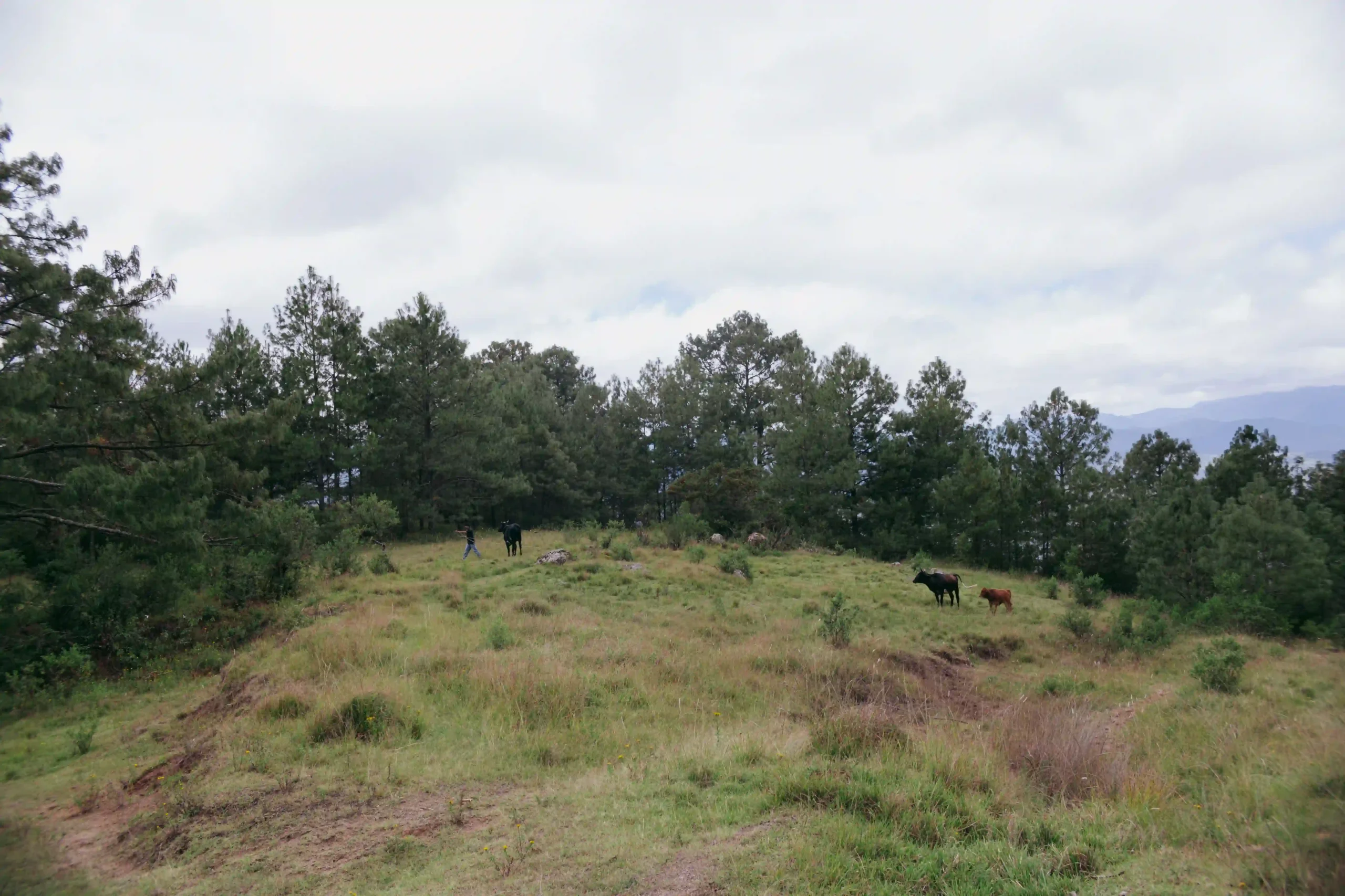 Oaxaca wedding photographer mountain elopement Mexico