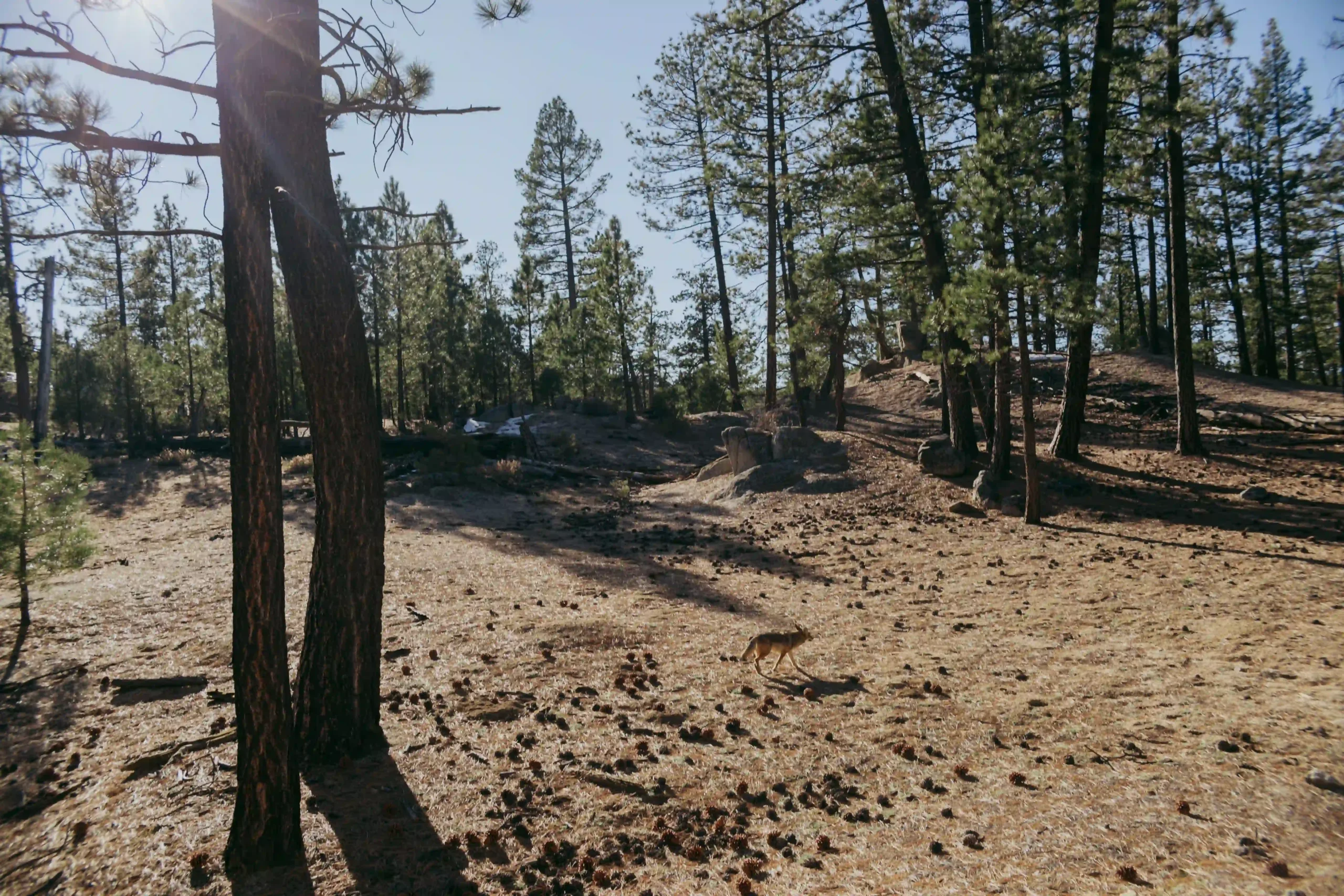 Oaxaca wedding photographer mountain elopement Mexico
