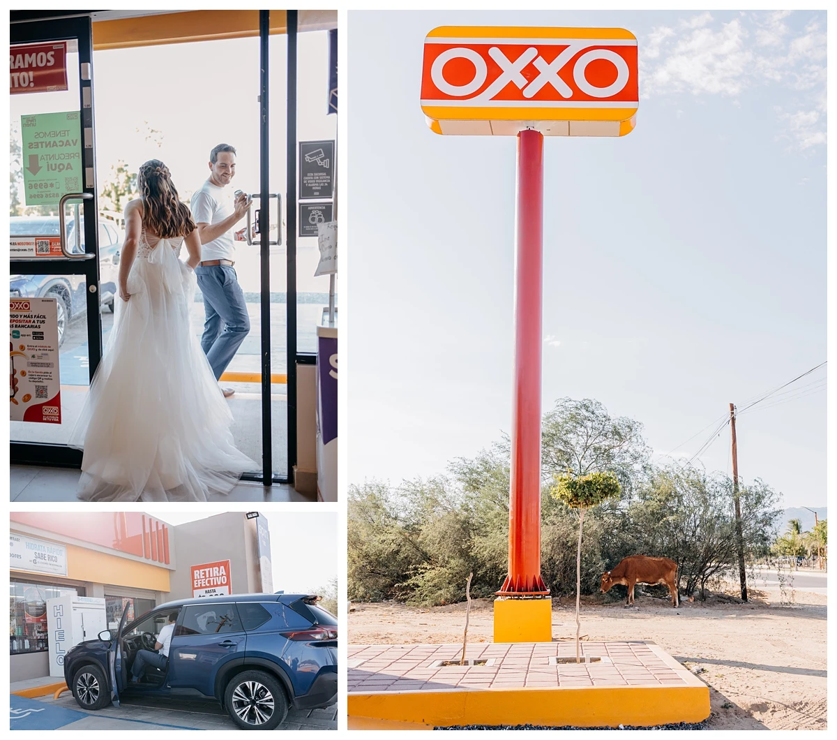 los-barriles-wedding-photographer bride & groom photoshoot in Baja California Sur mexico